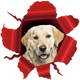 Aufkleber