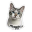 Magnete