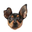 Stickerbögen